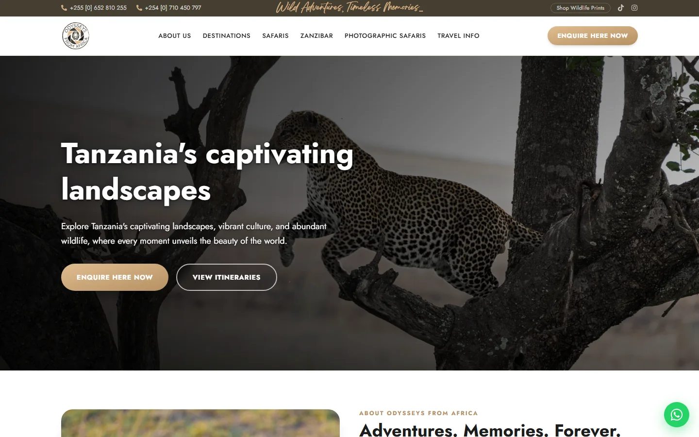 Odysseys From Africa — live capture