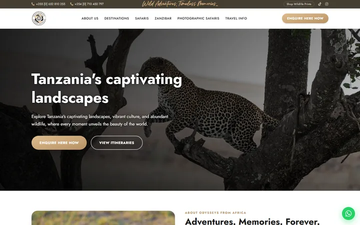 Odysseys From Africa — live capture